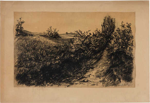 Дейнеко Ольга Константиновна. Кусты у дороги